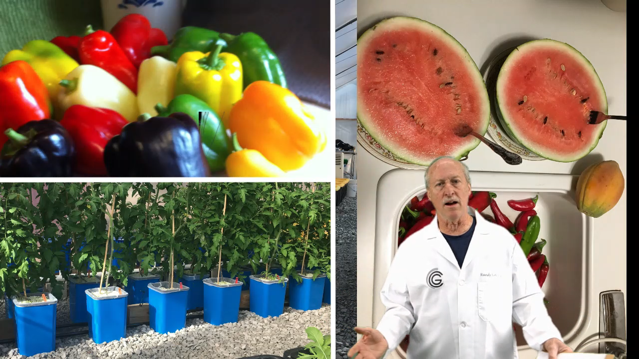 MasterBlend Complete Growing