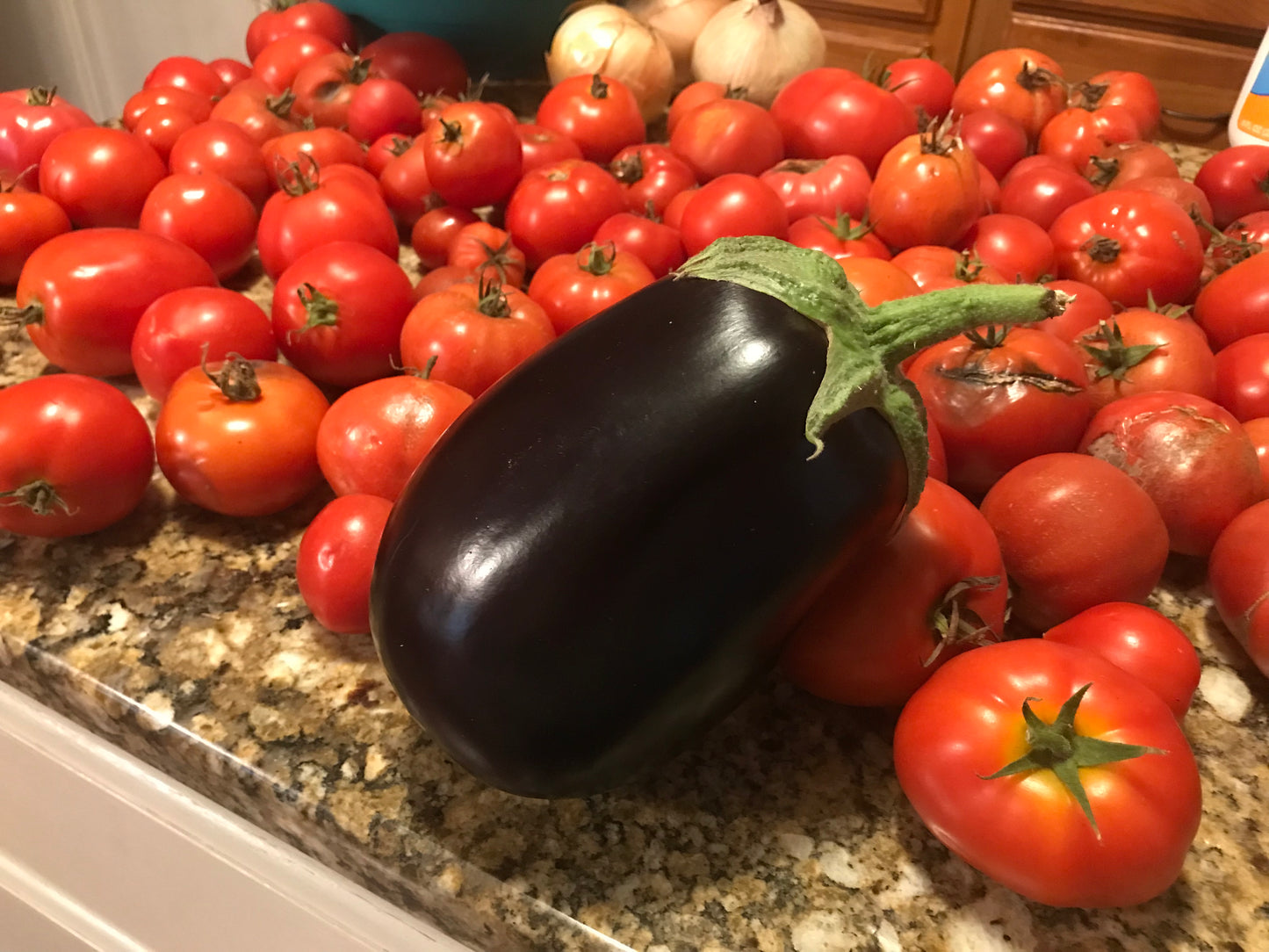 Tomatoes and egg plant with MasterBlend