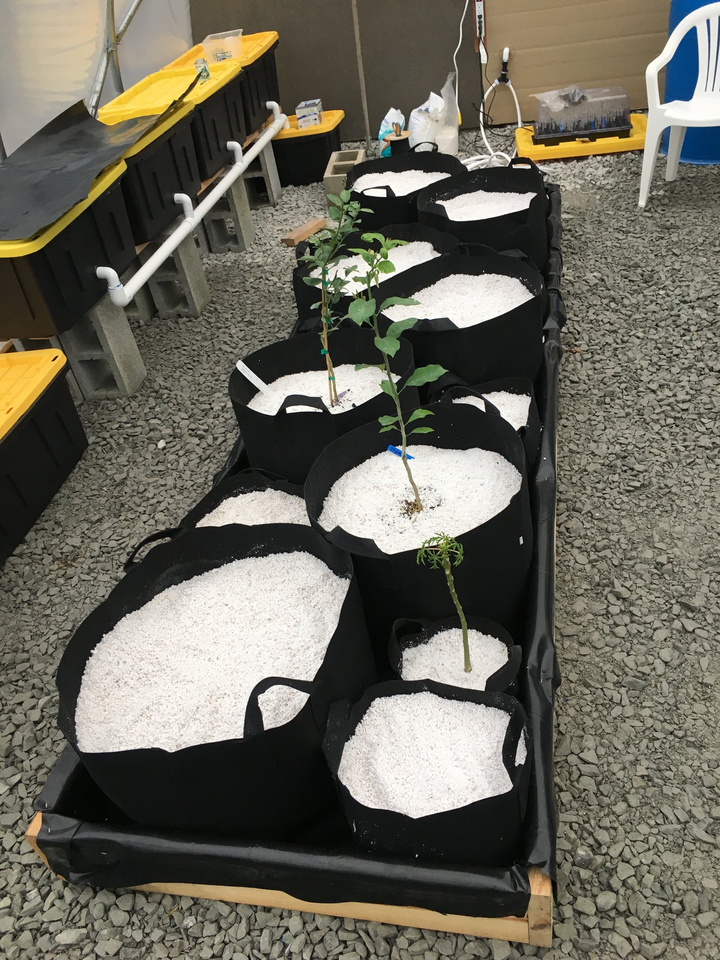 Aeration fabric pot - grow bag - 30 gallon