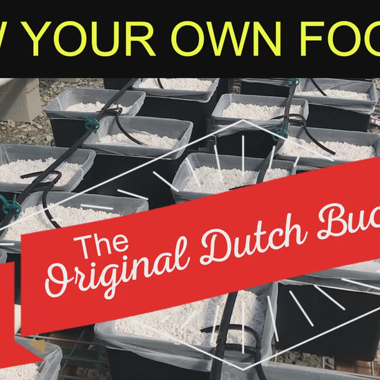 Dutch Bucket Bato Bucket Hydroponic system video instructions