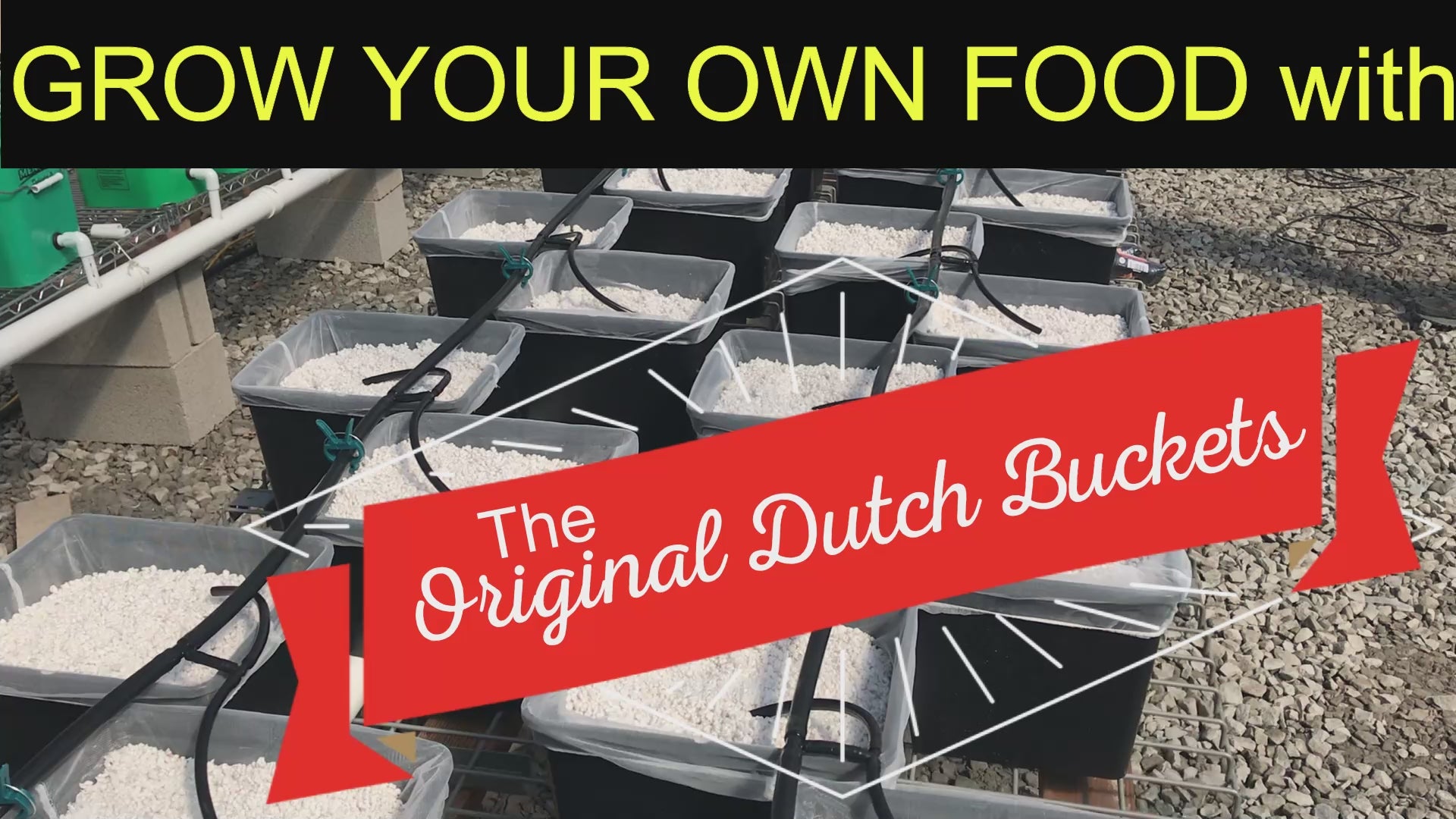 Dutch Bucket Bato Bucket Hydroponic system video instructions
