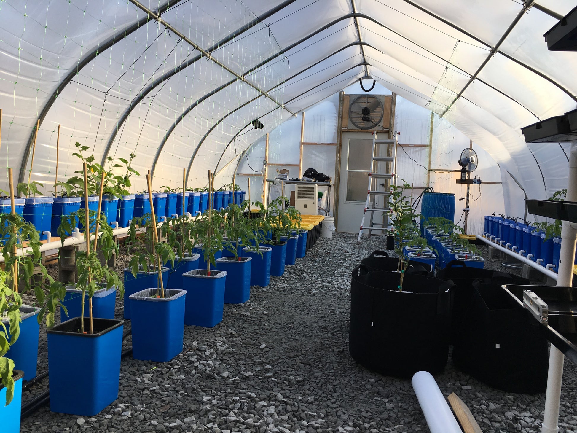 4 gallon bucket hydroponic system