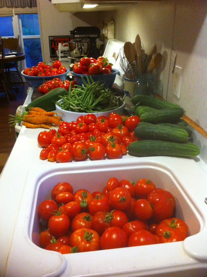 Hydroponic harvest